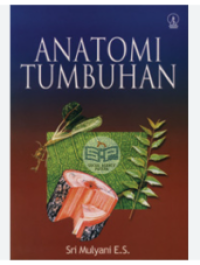 ANATOMI TUMBUHAN