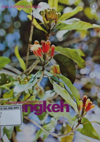 BAGAIMANA MENANAM CENGKEH