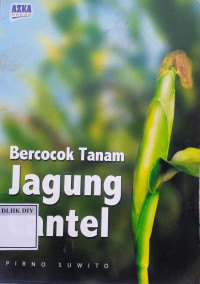 BERCOCOK TANAM JAGUNG CANTEL