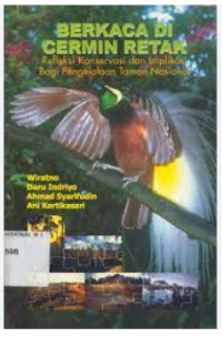 BERKACA DI CERMIN RETAK