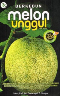 BERKEBUN melon unggul