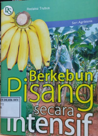 Image of BERKEBUN PISANG SECARA INTENSIF