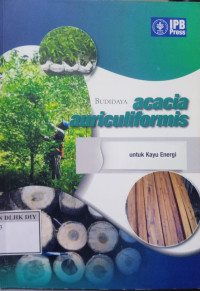 Image of BUDIDAYA ACACIA AURICULIFORMIS