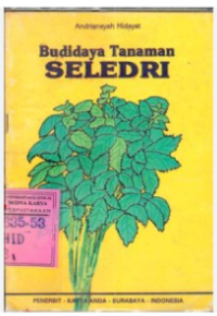 BUDIDAYA TANAMAN SELEDRI