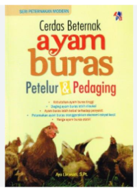 CERDAS AYAM BURAS PETELUR DAN PEDAGING