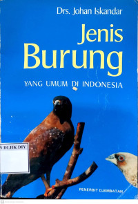 Jenis Burung yang Umum di Indonesia