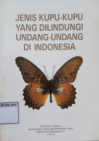 Jenis Kupu-Kupu Yang Dilindungi Undang-Undang di Indonesia