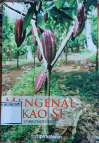 Image of MENGENAL KAKAO'SE