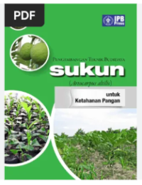 PENGEMBANGAN TEKNIK BUDIDAYA SUKUN  UNTUK KETAHANAN PANGAN