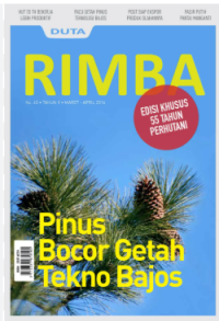 Image of PINUS BOCOR GETAH TEKNO BAJOS