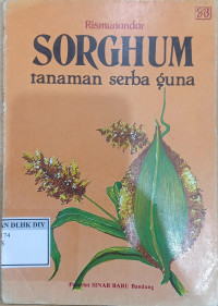 SORGHUM TANAMAN SERBA GUNA
